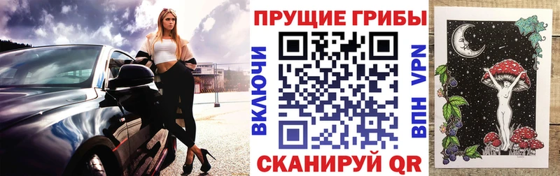 купить закладку Славгород Псилоцибиновые грибы Cubensis