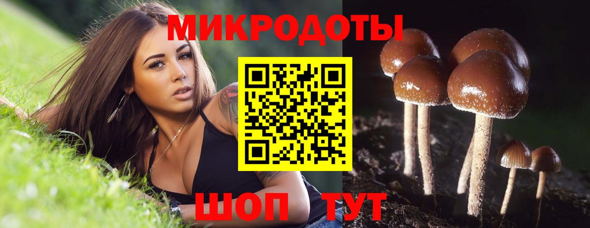 Славгород  Псилоцибиновые грибы мицелий  Псилоцибиновые грибы Psilocybe  Вход с VPN 